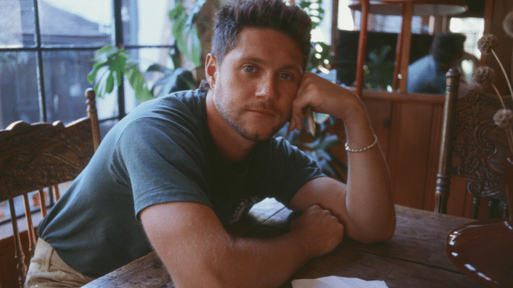 niall horan, koncert, polska